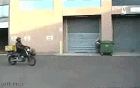 gifs_03.gif