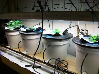 100_1090.jpg