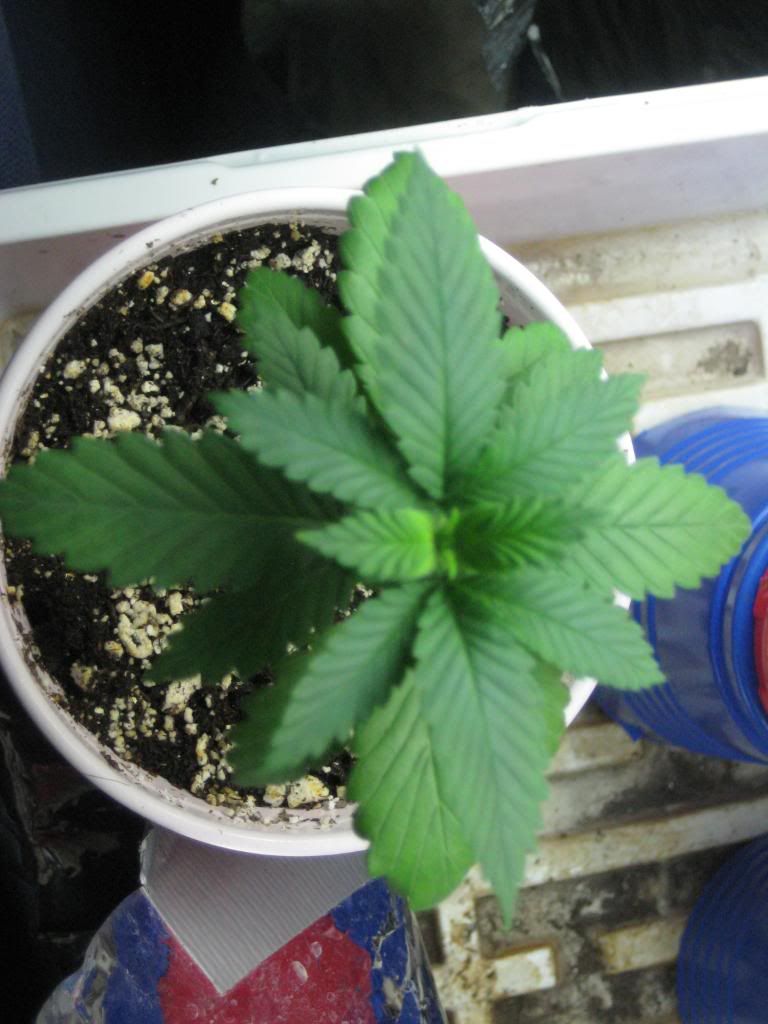 00510.jpg