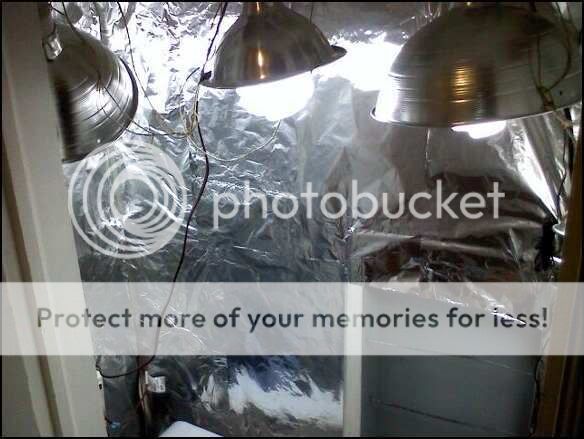 GR_1.jpg
