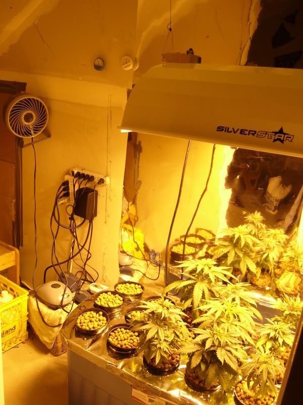 GROWP1060577.jpg