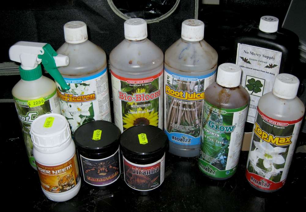 img3634g.jpg