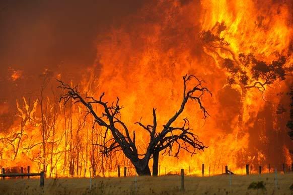 fire4.jpg