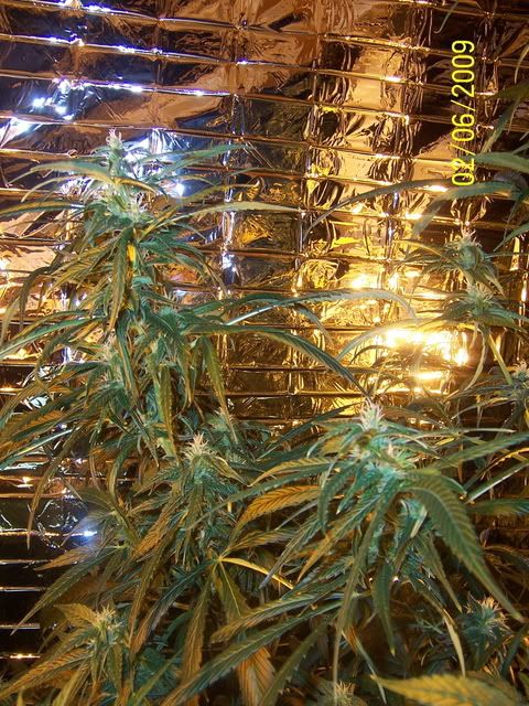 100_1275.jpg