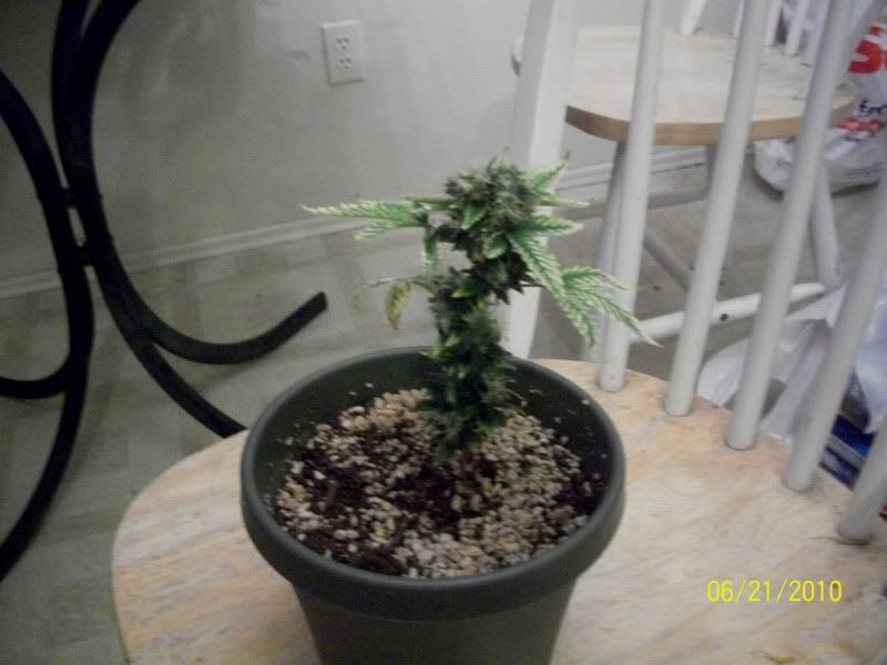 100_1312.jpg