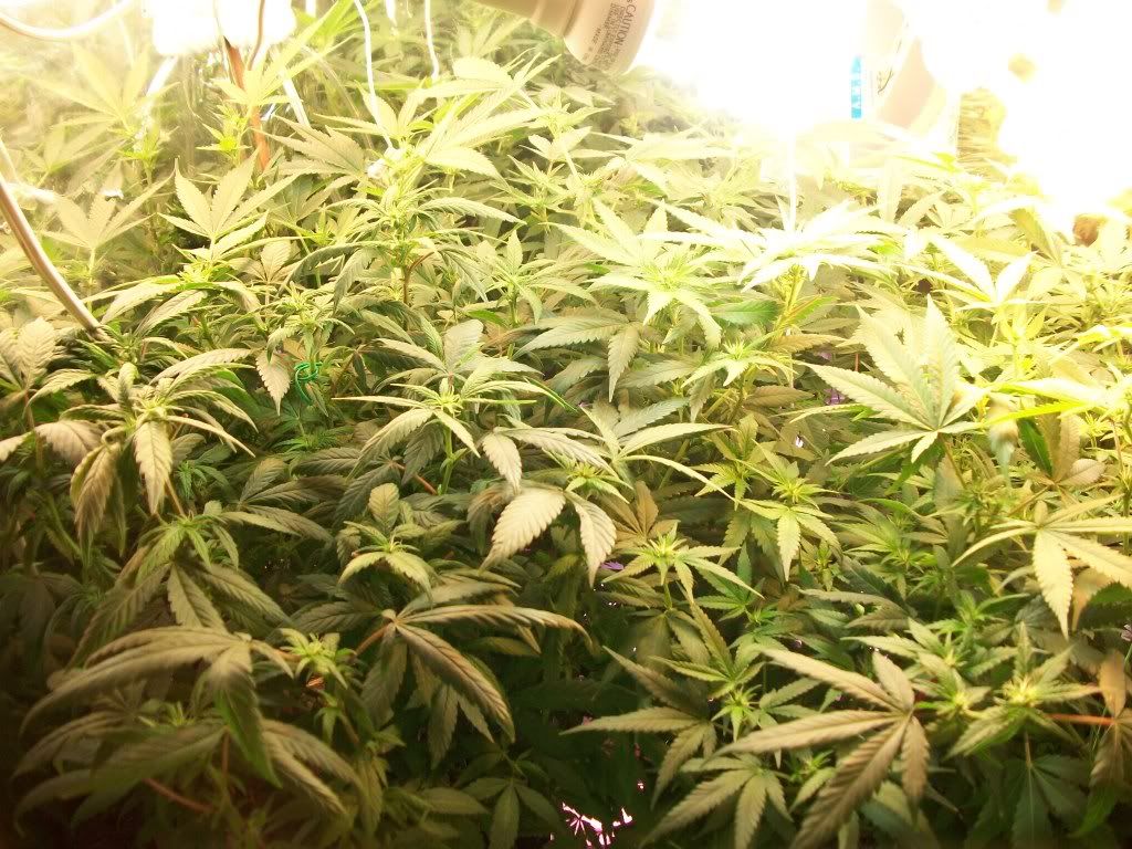5-6-11013.jpg
