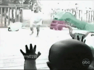 82950294.gif