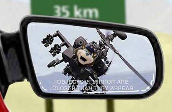TCBear_mirror.jpg