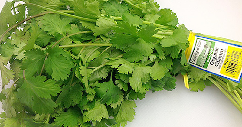 cilantro-leaves.jpg