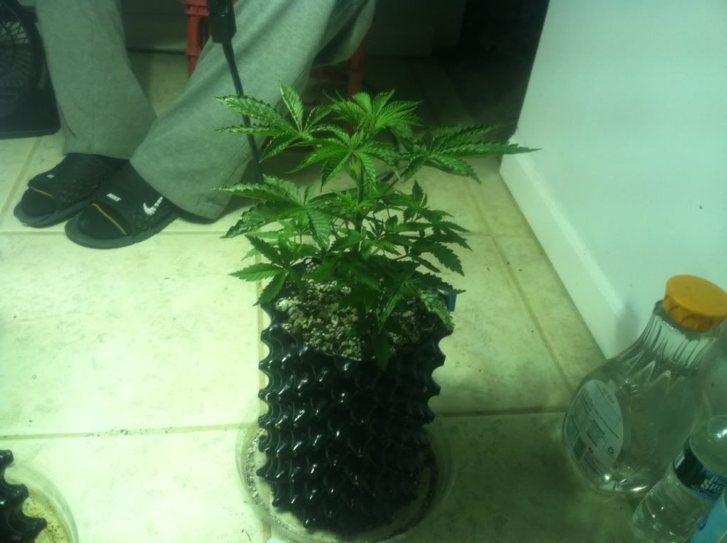 photo-3.jpg