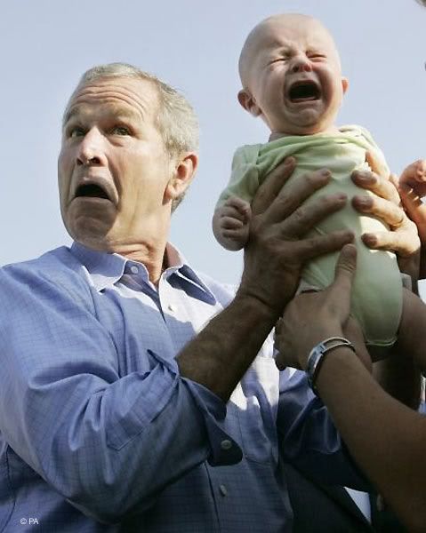 bush_baby.jpg