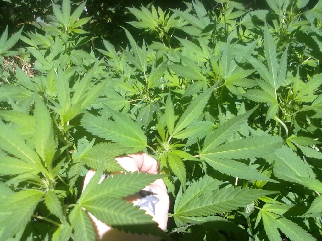 8-25-20125.jpg