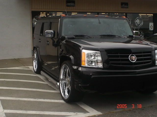 CopyofDSC01222.jpg