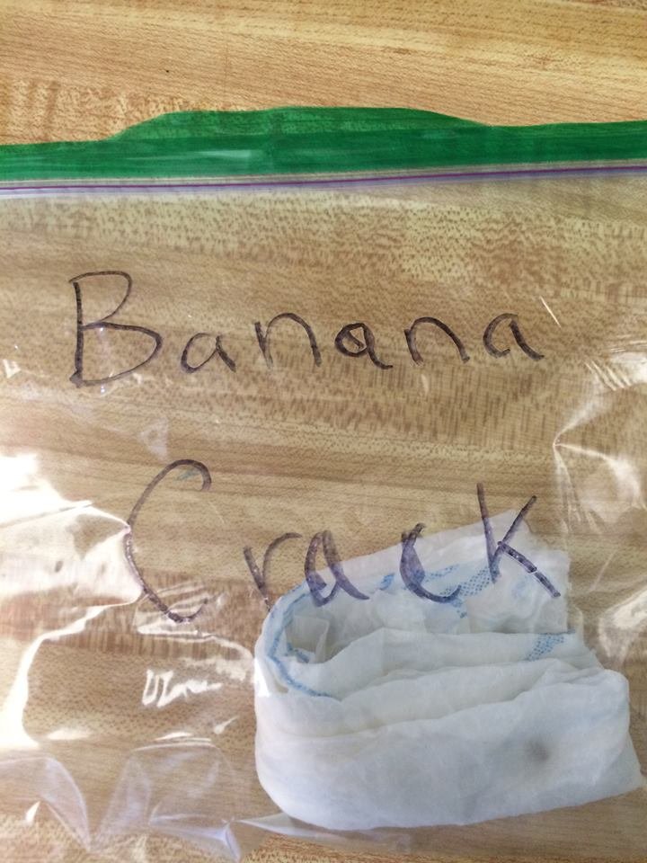 Germination_Banana_Crack_3.jpg