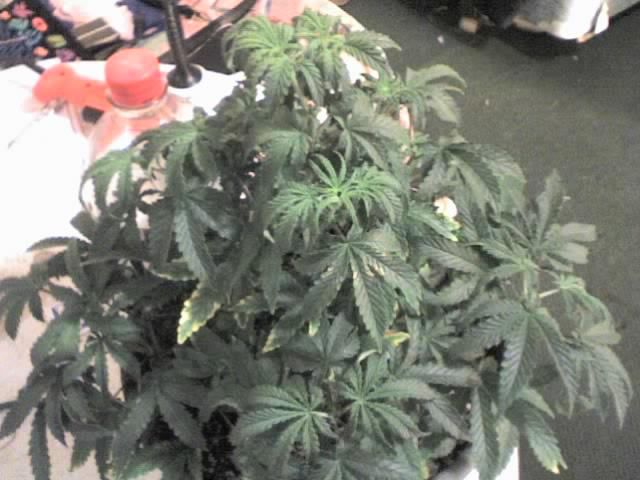 09-26-07_1542.jpg