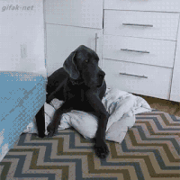 1646145312_2.gif