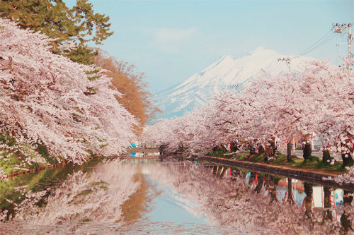 tumblr_lztt07Olvy1qzgt9no1_500.png