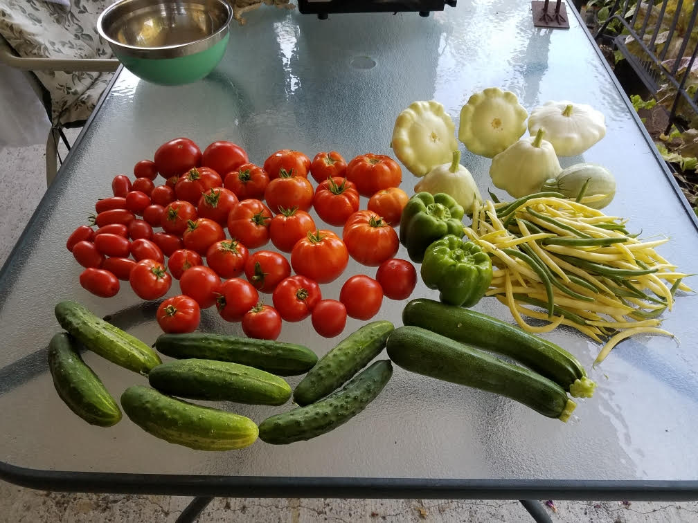 828harvest.jpg