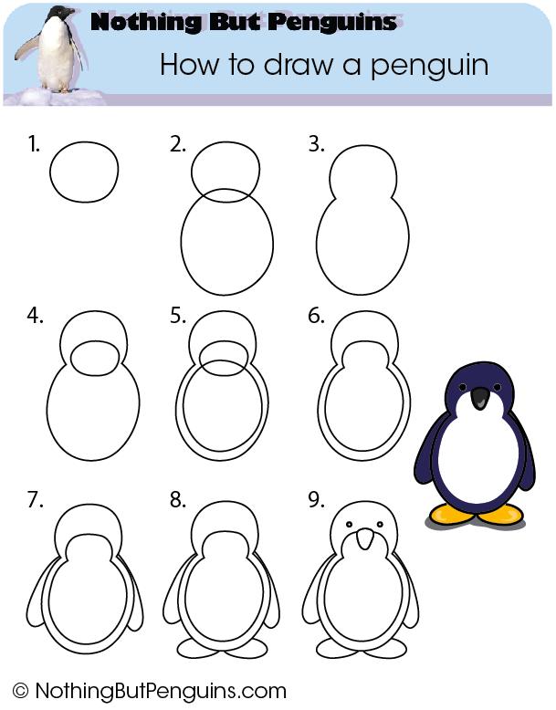 how-to-draw-a-penguin-3.jpg