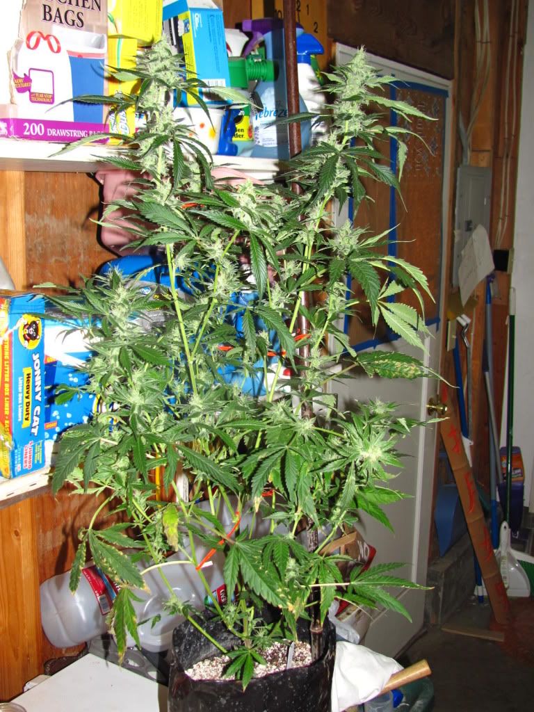 IMG_2109.jpg