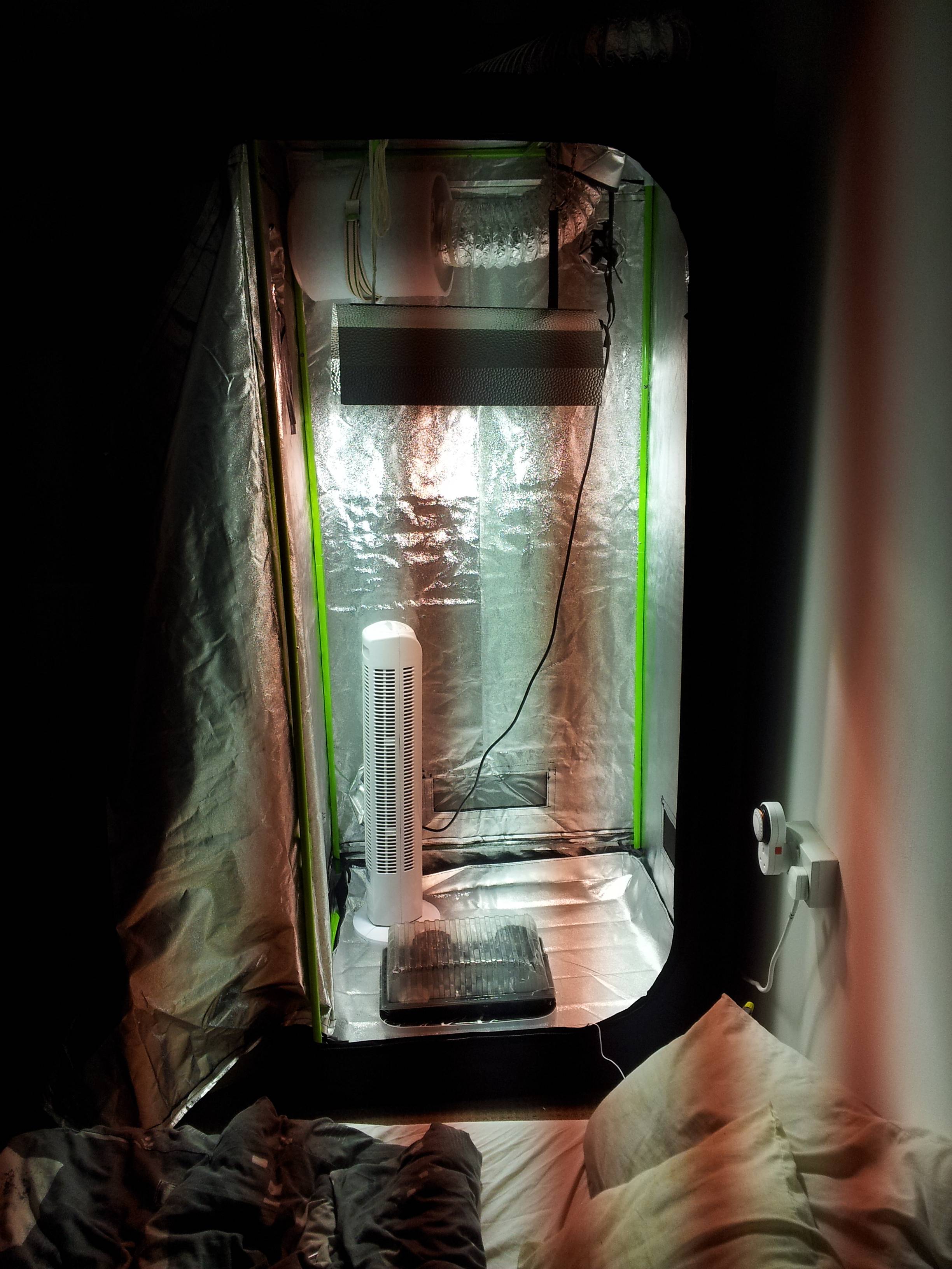 sGi9Xvt.jpg