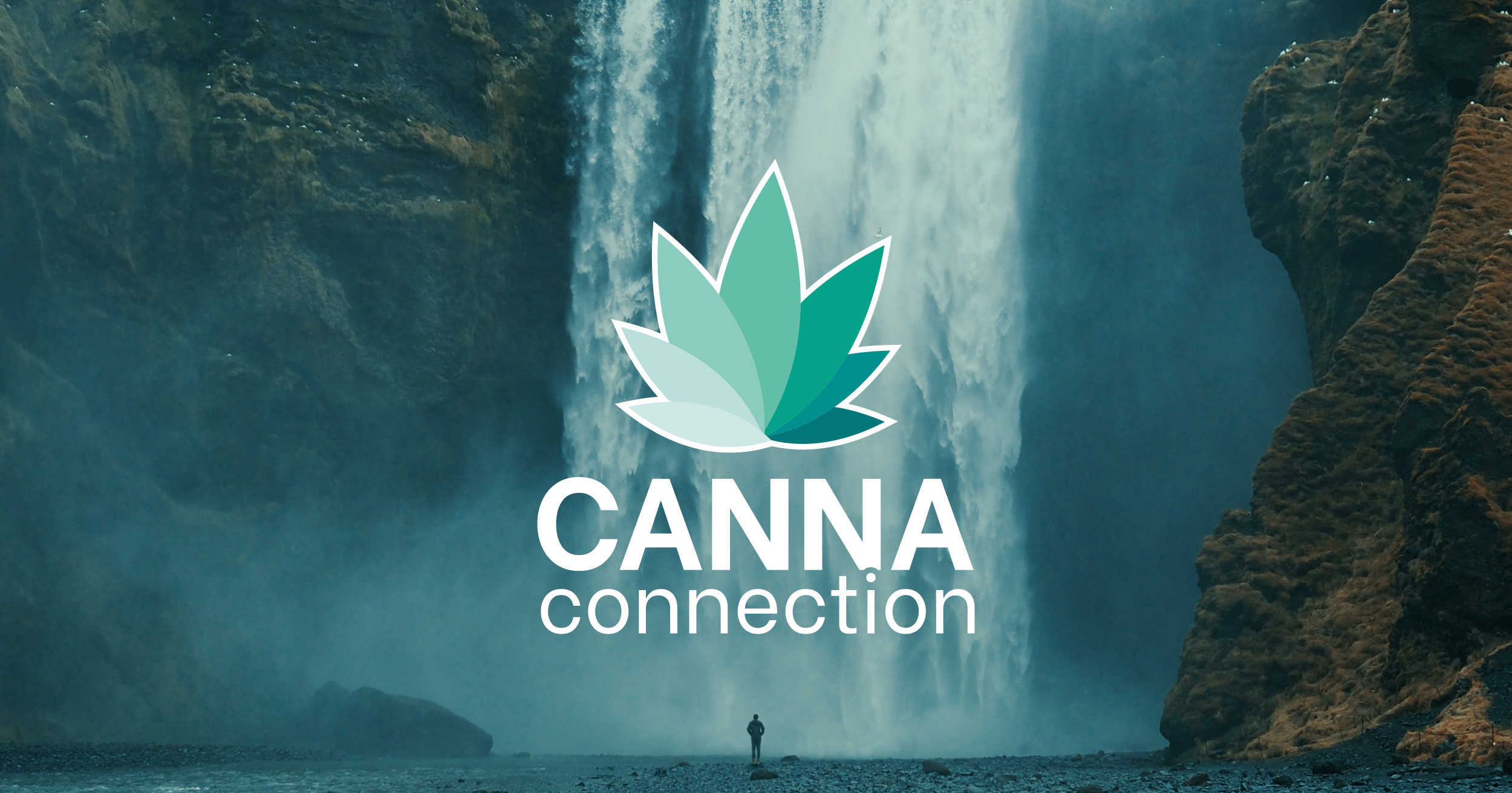 www.cannaconnection.com