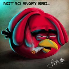 236c4249ab65689aa81a6bb3ee4e72dd--marijuana-funny-cannabis.jpg