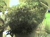09-25-07_1236.jpg