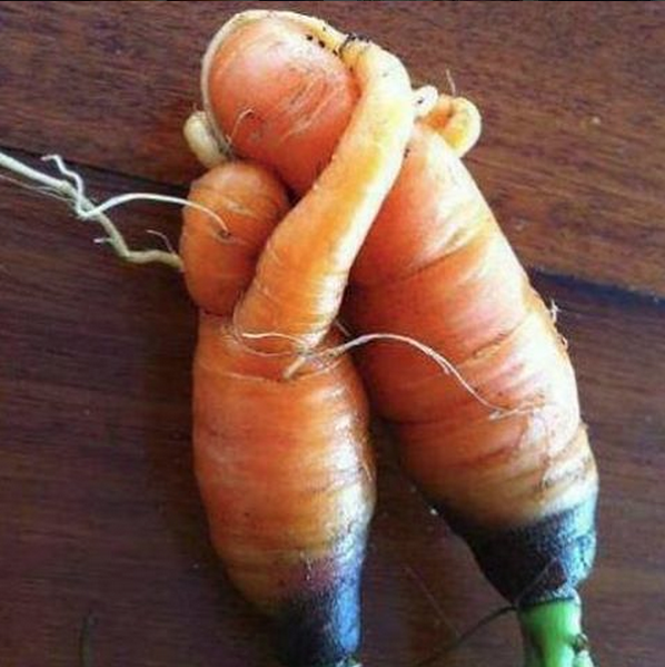 hugging-carrots.png