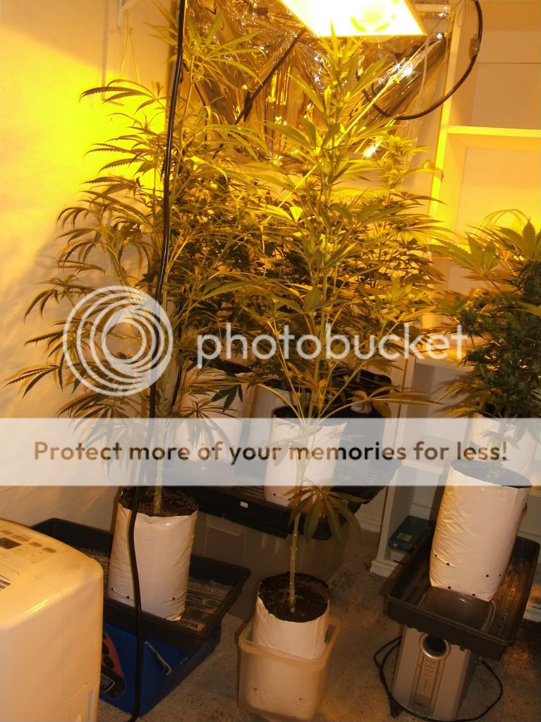 DSCF3090.jpg
