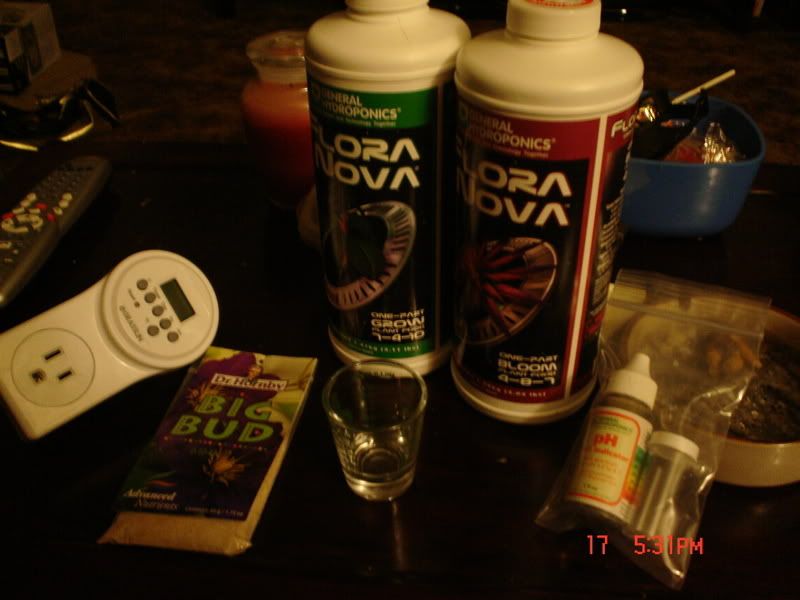 Picture-3.jpg