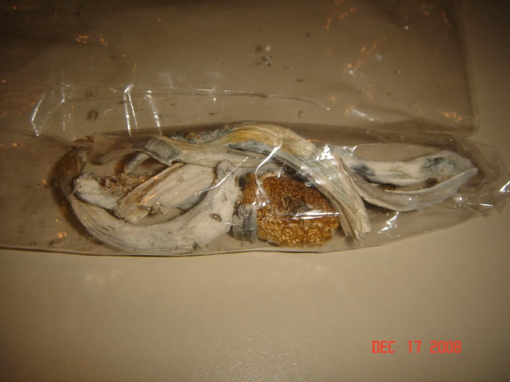 DSC02860.jpg