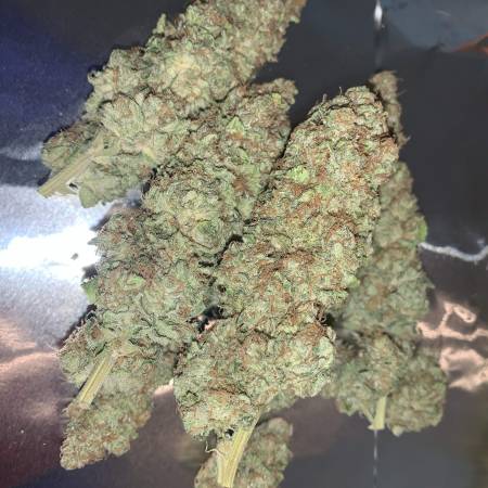 growdiaries.com