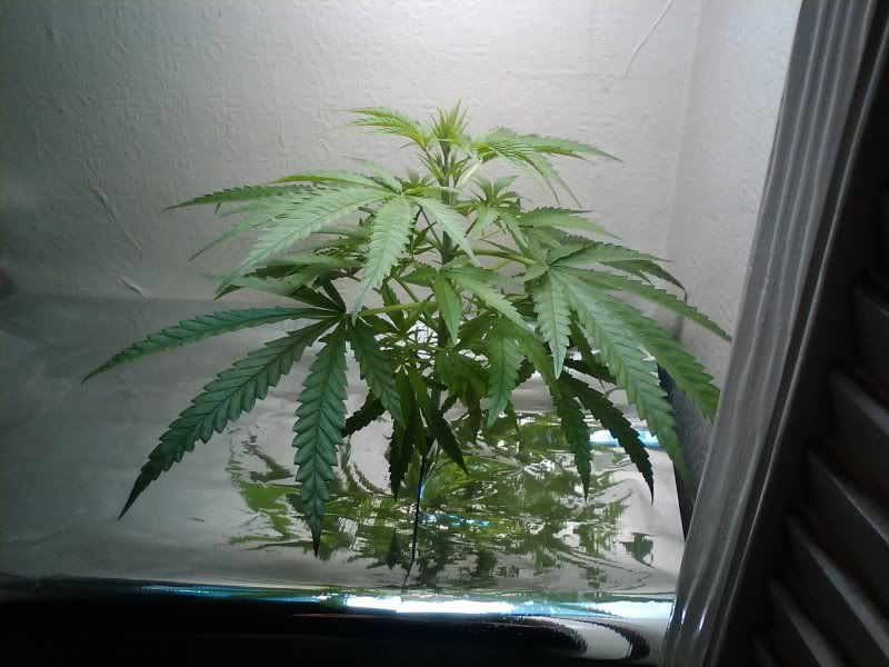05-11-2010021008.jpg