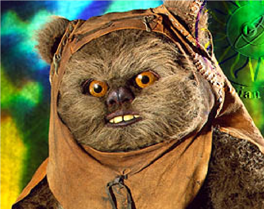 Ewok.jpg
