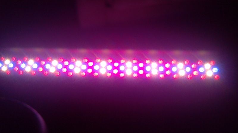 led_zps94bb4af0.jpg
