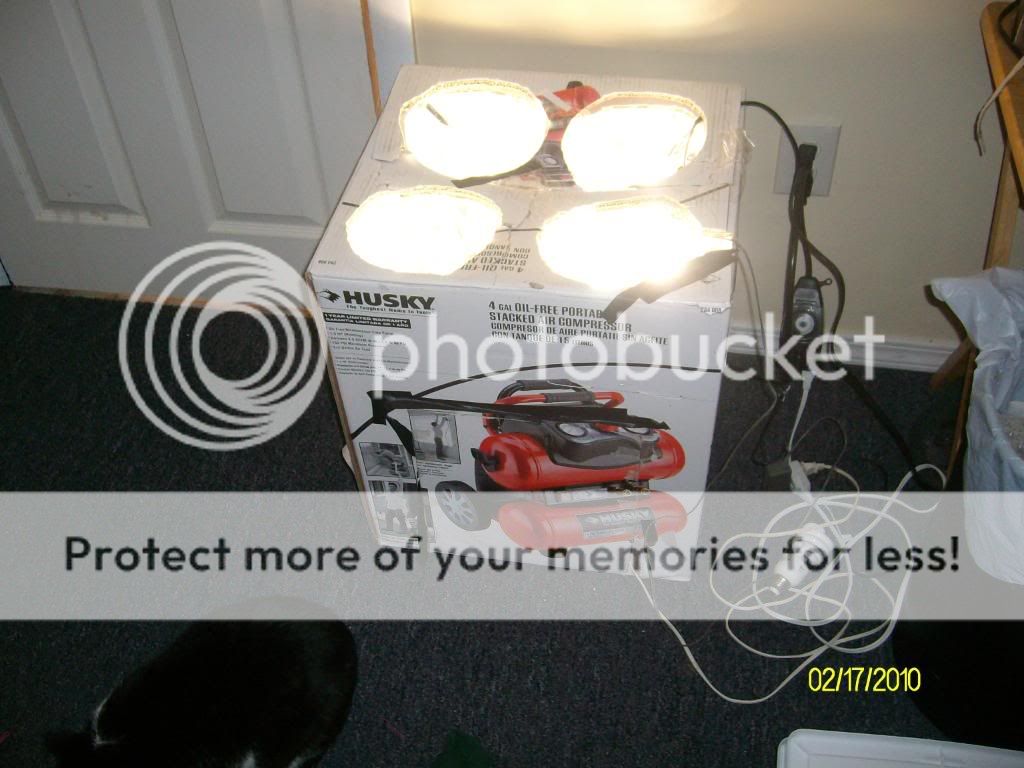 SANY6100.jpg