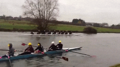 WJ2TXja.gif