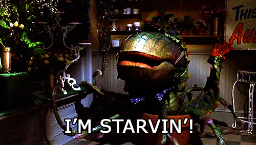 tumblr_m7snq1RxoU1qjhuyko1_500.gif