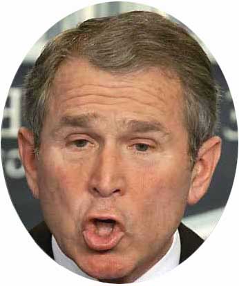 funny-bushjpg.jpg