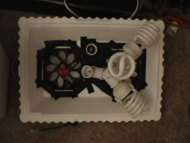 Picture007.jpg