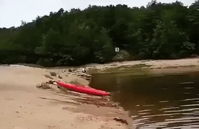 gifs_12.gif