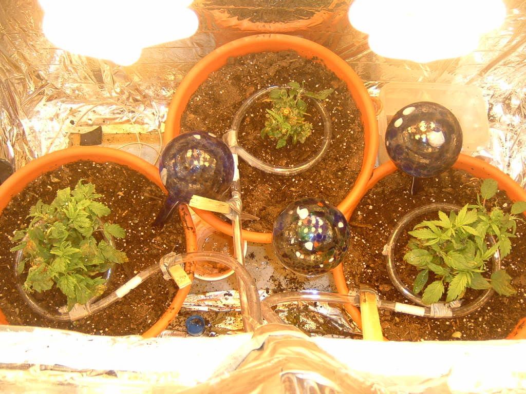 DSCF0004.jpg