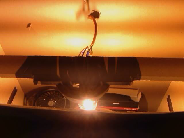 IMAG0032.jpg