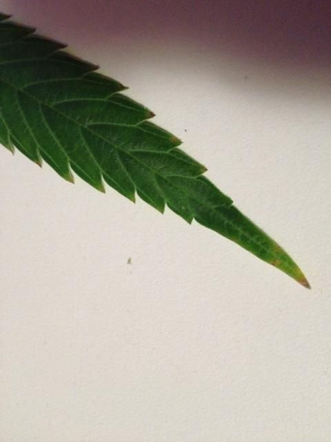 photo21.jpg