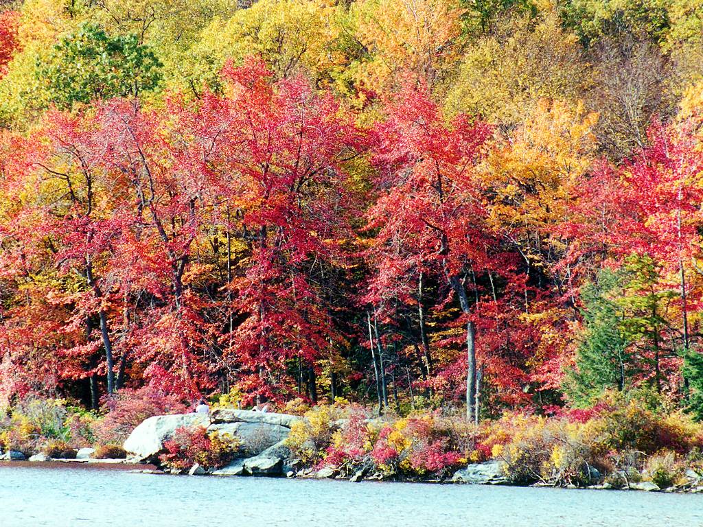 CraterLakeFallFoliage.jpg