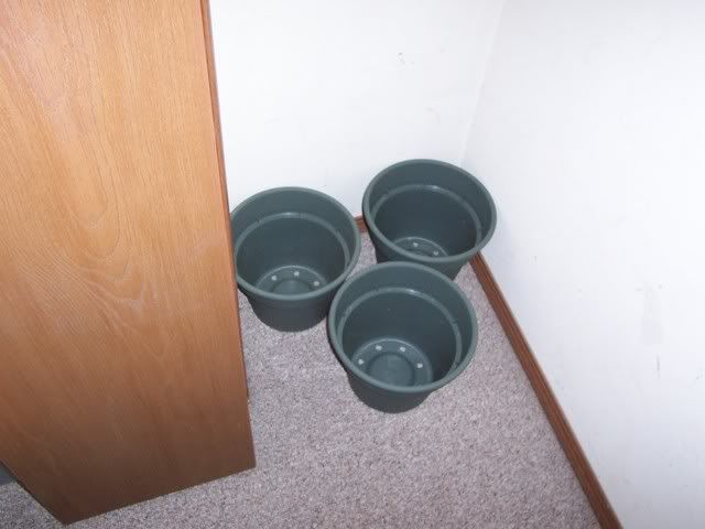 100_1717.jpg