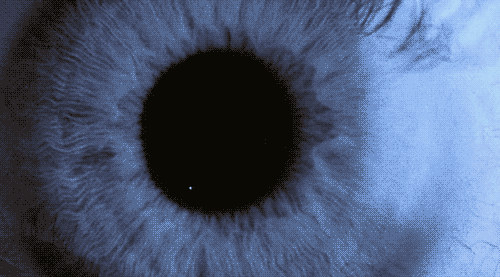 tumblr_lb7e0d23j41qdj1qfo1_500.gif