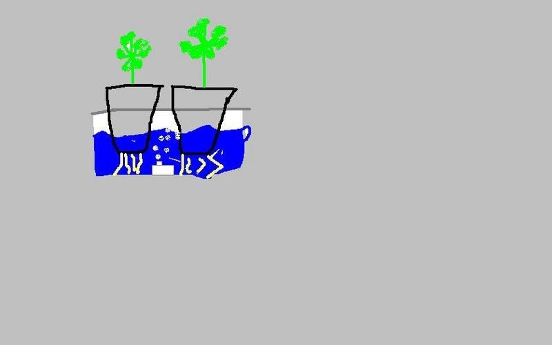 hydro2.jpg