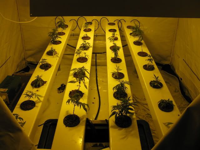 Picture001.jpg